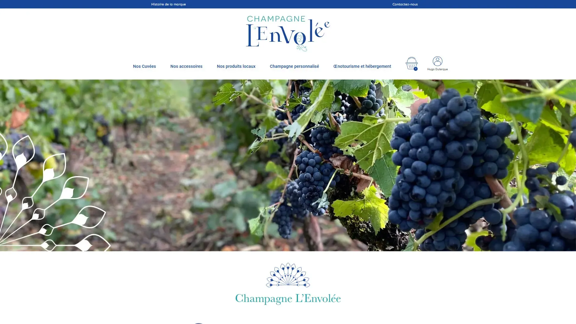 Page d'accueil du site Champagne L'envolée